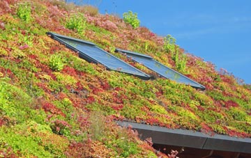 Kiddemore Green living roof systems